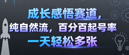 成长感悟赛道,纯自然流,百分百起号率 一天轻松多张-水滴知识网