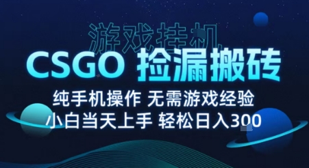 8月最新游戏搬砖,CSGO纯挂G,不需要玩游戏,实现真挂G,月入1W+【揭秘】-水滴知识网