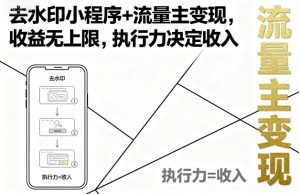 去水印小程序+流量主变现，收益无上限，执行力决定收入-水滴知识网