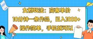 女粉玩法：高客单价，10分钟一条作品，日入1k+操作简单，手机就可以-水滴知识网