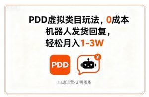 PDD虚拟类目玩法，0成本，机器人发货回复，轻松月入1-3W-水滴知识网