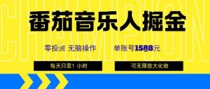 番茄音乐人掘金，单账号最高可撸1k+，可无限矩阵去做，零投入-水滴知识网