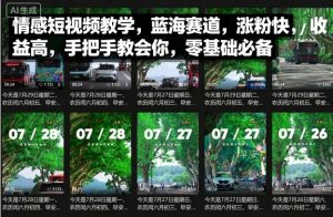 情感短视频教学，蓝海赛道，涨粉快，收益高，手把手教会你，零基础必备-水滴知识网