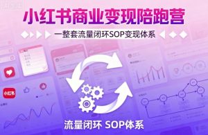 小红书商业变现陪跑营,轻IP矩阵 私域获客 聚光投流,一整套流量闭环SOP变现体系-水滴知识网