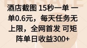 酒店截图项目，15秒一单，一单0.6米，每天任务无上限，全网首发可矩阵单日收益3张+【揭秘】-水滴知识网