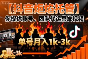 【抖音炬焰托管】你提供账号,团队代运营发视频,单号月入1k+【揭秘】-水滴知识网