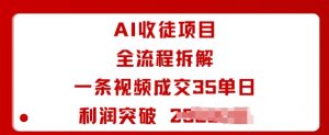 AI收徒项目全流程拆解一条视频成交35单日利润突破1k+-水滴知识网