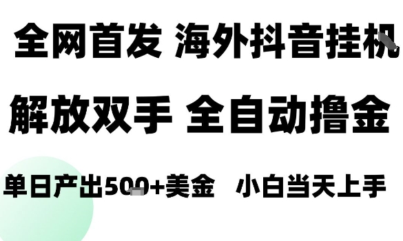 海外抖音无人直播,单日产出1.5k+,长期稳定,新手可玩,无脑操作【揭秘】-水滴知识网