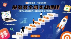 拼多多全阶实战课程，从新手小白到运营高手，海量实战玩法+全年实时更新【2025年9月更新】-水滴知识网
