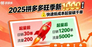 2025拼多多旺季新老店铺——快速低成本起量破千单-水滴知识网