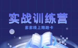 多多实战训练营，从0到1打造一个真正賺钱的店铺-水滴知识网