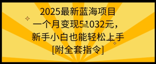 2025最新蓝海项目一个月变现1w+新手小白也能轻松上手【附全套指令】-水滴知识网