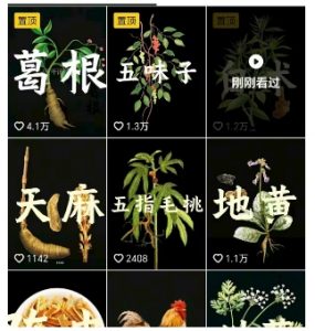 抖音中草药赛道,用AI做中草药故事视频,45条作品涨粉13W,橱窗带货猛猛出单-水滴知识网