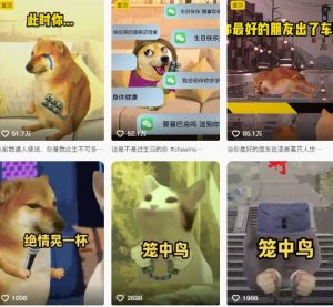 狗头幸运星UE5动画全套课程,从入门到实操全掌握-水滴知识网