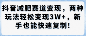 抖音减肥赛道变现，两种玩法轻松变现3W+，新手也能快速复制-水滴知识网