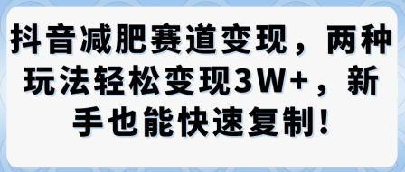 抖音减肥赛道变现,两种玩法轻松变现3W+,新手也能快速复制-水滴知识网