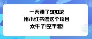 一天挣了9张用小红书做这个项目太牛了，空手套-水滴知识网