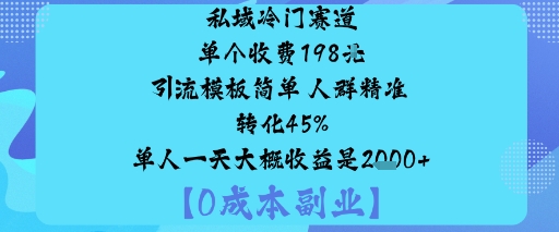 私域冷门赛道:单个收费198米引流模板简单人群精准转化45%单人一天大概收益是1k+-水滴知识网
