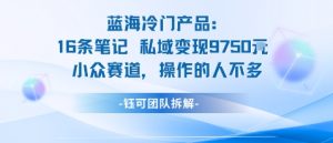 蓝海项目：16条笔记私域变现9750米小众赛道操作的人不多-水滴知识网