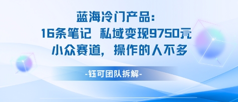 蓝海项目：16条笔记私域变现9750米小众赛道操作的人不多-水滴知识网