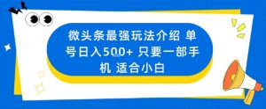 微头条最强玩法介绍一个号日入5张+只要一部手机适合小白-水滴知识网
