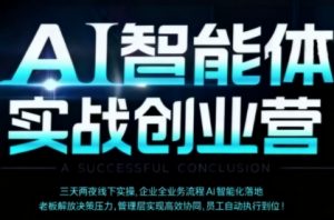 AI智能体实体战创业营(深圳9月23-25日),多维度助力老板、管理层、员工提升效能-水滴知识网