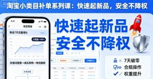 淘宝小类目补单系列课，快速起新品，安全不降权-水滴知识网