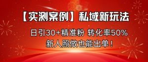 【实测案例】私域新玩法，日引30+精准粉，转化率50%，新人照做也能出单！-水滴知识网