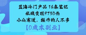 蓝海冷门产品：16条笔记私域变现9750米小众赛道，操作的人不多-水滴知识网