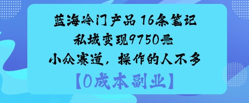 蓝海冷门产品：16条笔记私域变现9750米小众赛道，操作的人不多-水滴知识网