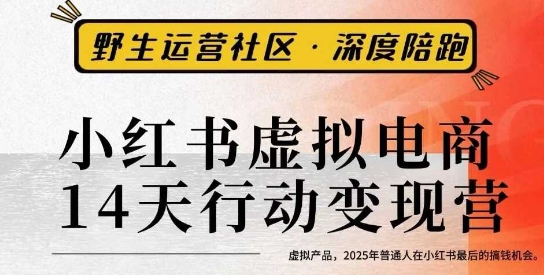 小红书虚拟电商14天变现训练营3.0,虚拟产品,2025年普通人在小红书最后的搞钱机会-水滴知识网