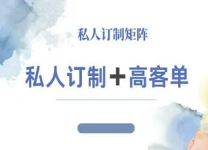 小红书自媒体咨询师IP教程,私人定制+高客单-水滴知识网