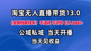 淘宝无人直播13.0,公域私域技术,不封号,不违规布局下半年旺季赛道,日入1K+(独家技术)【揭秘】-水滴知识网