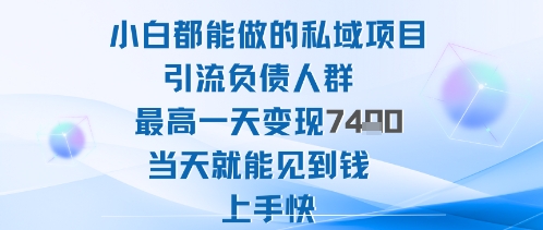 2025年小白都能做的私域项目引流负债人群最高一天变现1k+高变现难度低当天就能见到钱上手快-水滴知识网