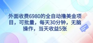 外面收费6980的全自动撸美刀项目,可批量,每天30分钟,无脑操作,当天收益5张【揭秘】-水滴知识网