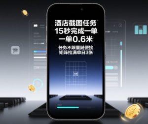 酒店截图任务,15秒完成一单,一单0.6米,任务不限量随便接,矩阵拉满单日3张【揭秘】-水滴知识网