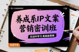 养成系IP文案营销密训班,实战中学习真高级营销-水滴知识网