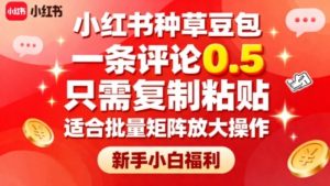 小红书种草豆包，一条评论0.5，只需复制粘贴，适合批量矩阵放大操作，新手小白福利-水滴知识网