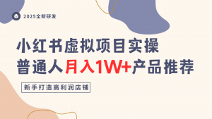 小红书虚拟项目实操指南,普通人月入1W+产品推荐,直接抄-水滴知识网