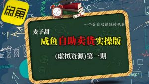麦子甜咸鱼自助卖货实操版(虚拟资源)一个会自动搞钱的机器-水滴知识网