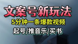文案号新玩法,5分钟一条爆款视频,流量高,起号快,多方位变现-水滴知识网