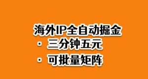 海外ip全自动掘金，2025必做蓝海项目，3分钟落地，矩阵直接开干【揭秘】-水滴知识网