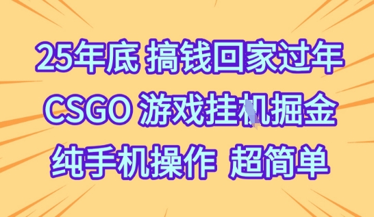 25年底搞钱回家过年,CSGO游戏挂G掘金,纯手机操作超简单【揭秘】-水滴知识网
