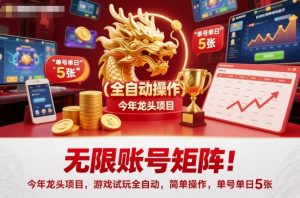无限账号矩阵!今年龙头项目,游戏试玩全自动,简单操作,单号单日5张【揭秘】-水滴知识网