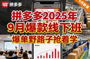 拼多多2025年9月爆款线下班，爆单野路子抢着学-水滴知识网
