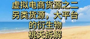 虚拟电商之二—另类的货源，大平台的衍生物-水滴知识网