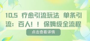 疗愈引流玩法，单条引流百人，保姆级全流程-水滴知识网