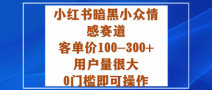小红书暗黑小众情感赛道,客单价100-300+用户量很大,0门槛即可操作-水滴知识网