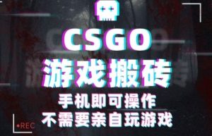 CSGO游戏挂G捡漏，单日扫货5张+，年底小高峰上车可吃肉，手机即可操作，兼职副业创业网创【揭秘】-水滴知识网