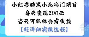 小红书暗黑小众冷门项目每天变现2张当天可能就会有收益-水滴知识网